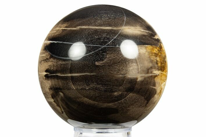 Petrified Wood (Tropical Hardwood) Sphere - Indonesia #311724